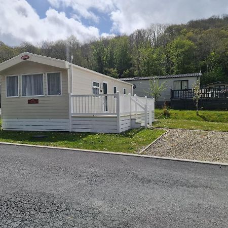 The Tiddler - Plot 101, Woodlands Lodge Retreat, New Quay, West Wales Llanina エクステリア 写真