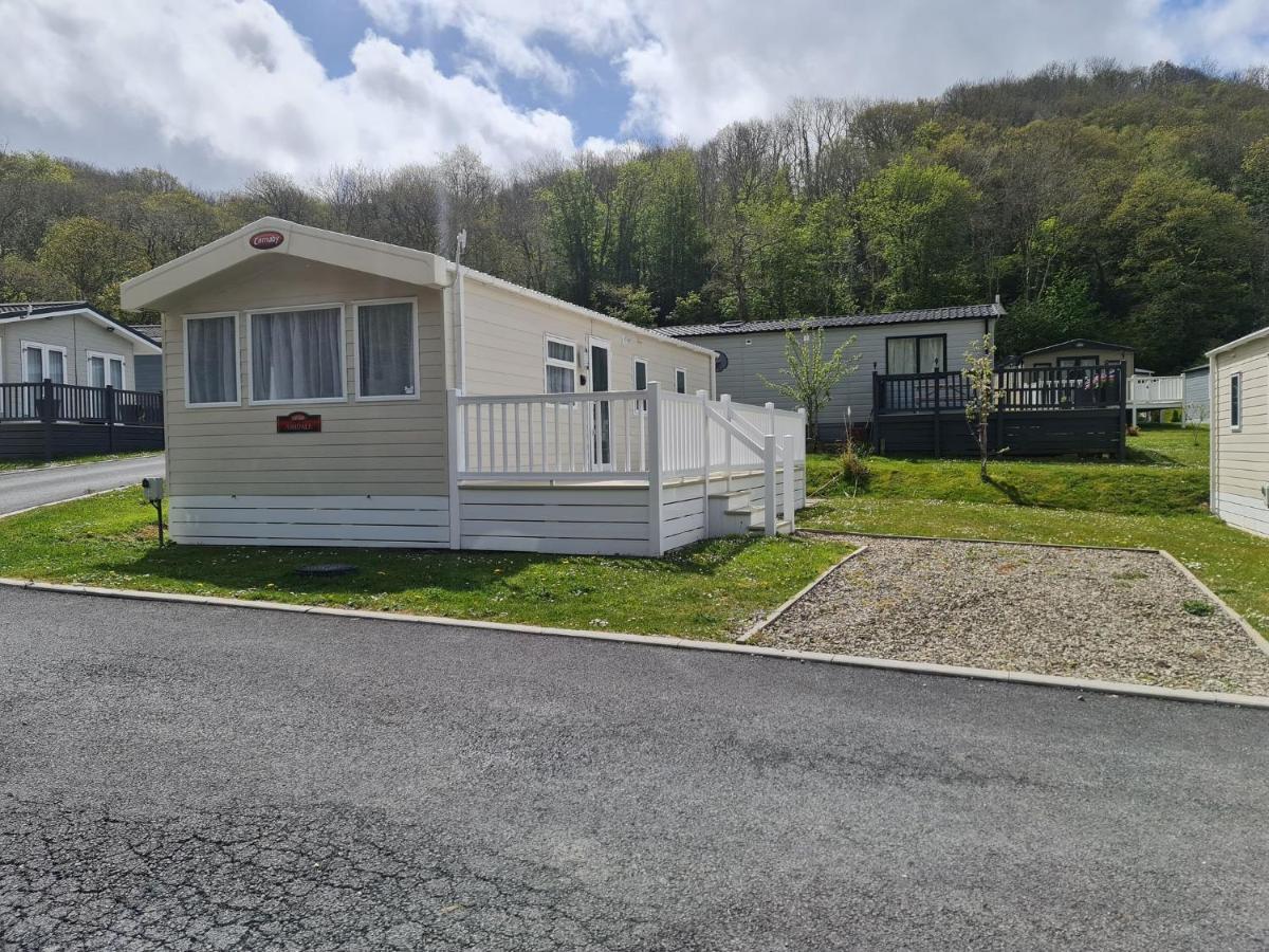 The Tiddler - Plot 101, Woodlands Lodge Retreat, New Quay, West Wales Llanina エクステリア 写真